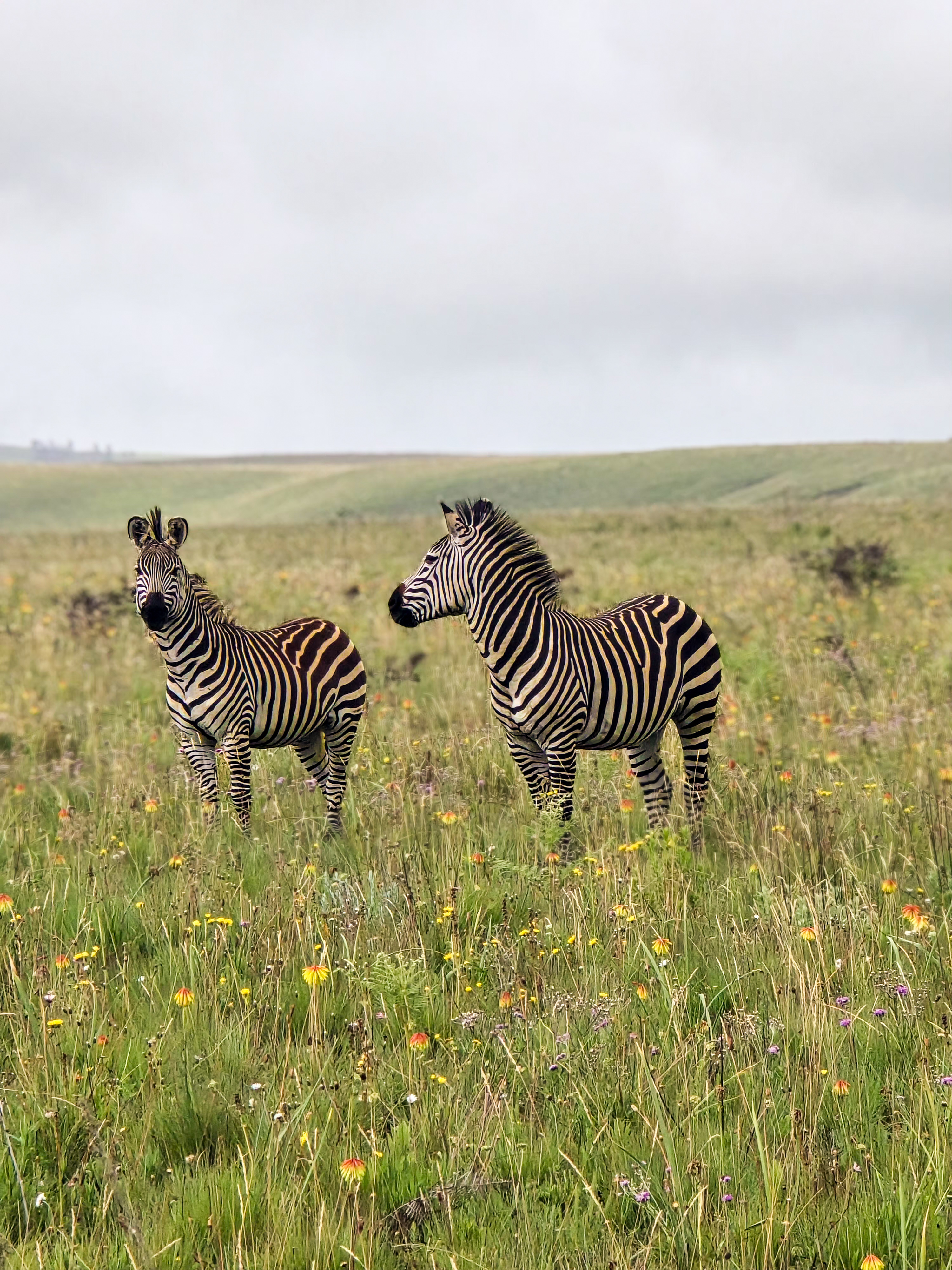 KITULO NATIONAL PARK